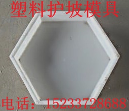 护坡砖模具/定{yj}模具