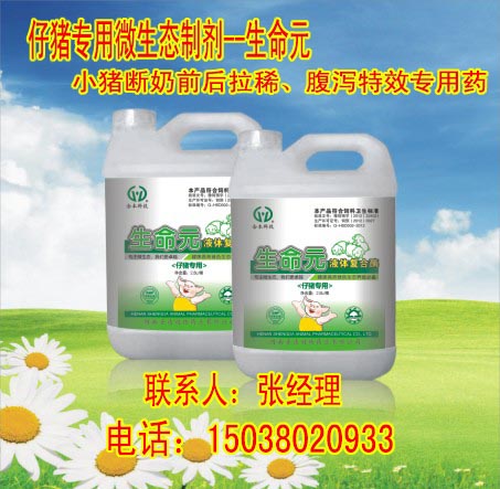 母豬不發(fā)情怎么zl母豬產(chǎn)后保健原始圖片2