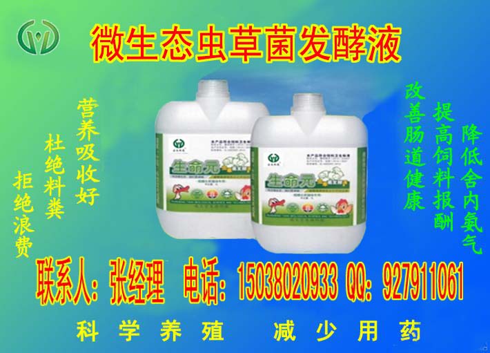 雞腸道不好怎么辦腸道保健{tx}藥品