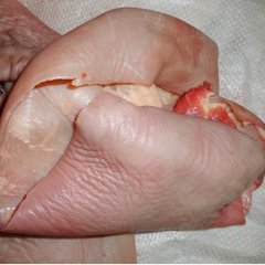 臨沂帶皮驢肉批發(fā)/蒼山居村潤龍?bào)H肉