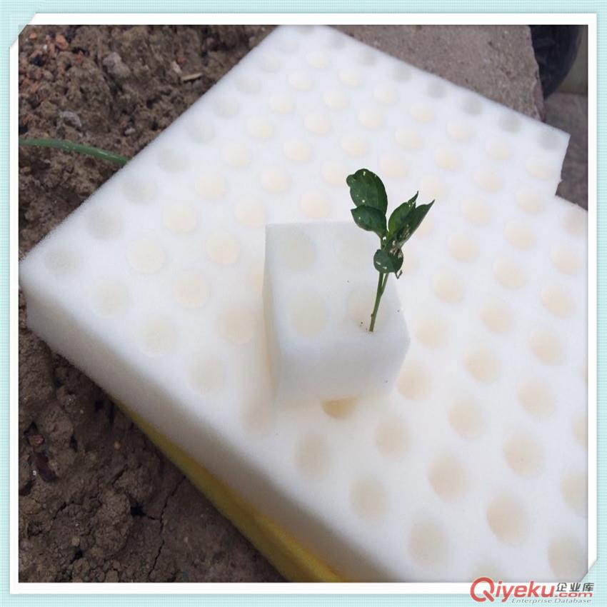 綠色無污染  專屬于你的小花園  無土種植綿