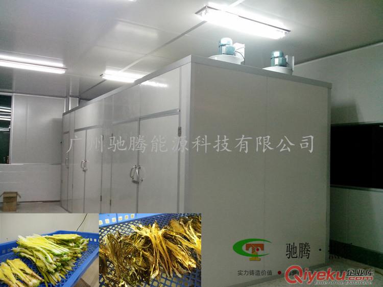 供應馳騰CT-RB金絲皇菊烘干機