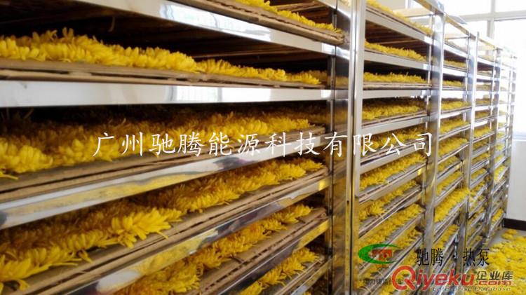 多肉黃菊烘干機批發、零售原始圖片3