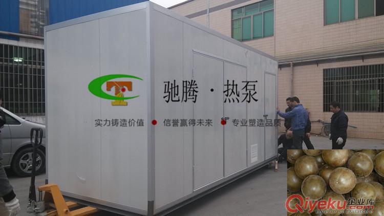 供應馳騰CT-RB羅漢果烘干機 環保烘干