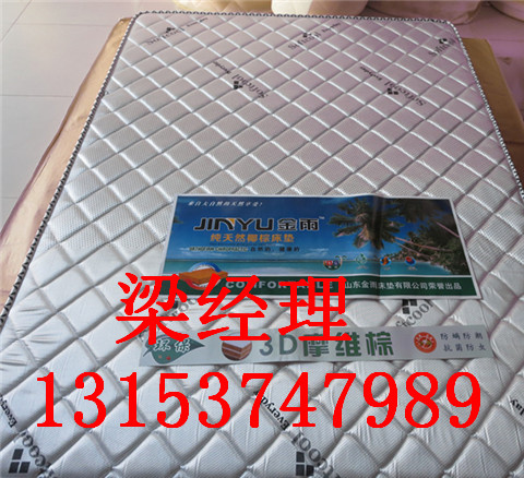 椰棕床墊廠家  保暖椰棕床墊原始圖片3