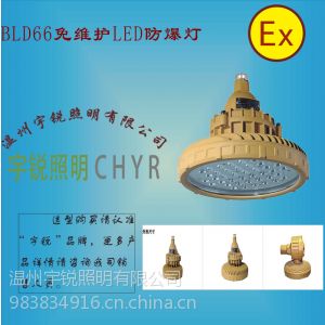 供應(yīng)廠家直銷BLD66免維護(hù)節(jié)能LED防爆燈