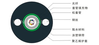 中心束管式光纜GYXTW光纜廠家