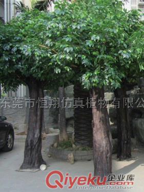 廠家定商業制墻面造景植物墻綠化櫥窗植物墻