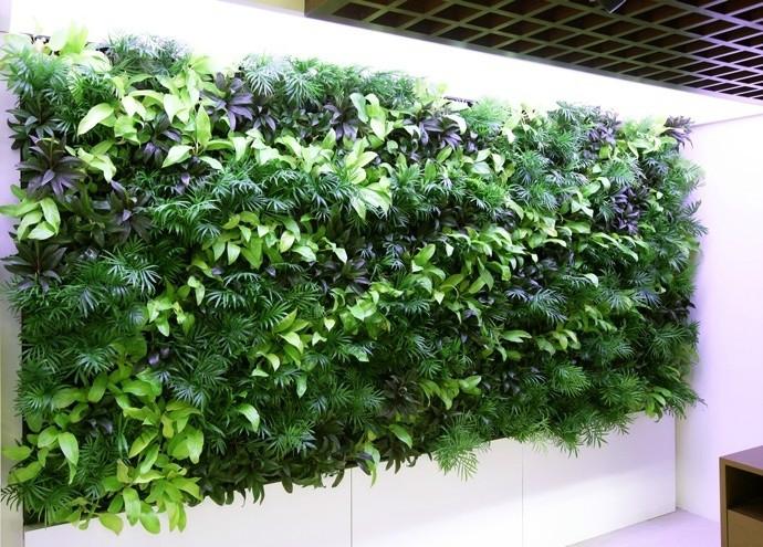 供應餐廳商場進精品櫥窗植物墻 效果逼真原始圖片3
