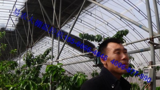 誠招大棚溫控放風(fēng)器分銷商易農(nóng)大棚溫控機(jī)省工增產(chǎn)