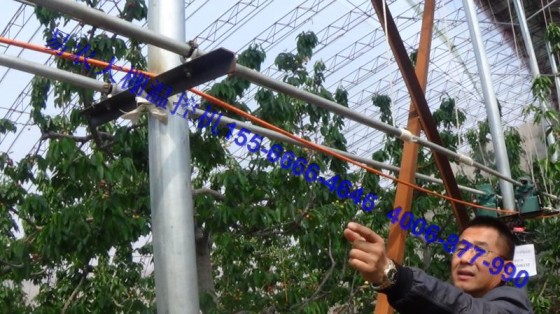 招大棚溫控機分銷商大棚溫度管理自動放風(fēng)溫控機設(shè)備