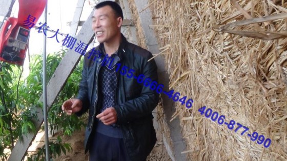 易農(nóng)大棚自動放風溫度管理機，大棚省工增產(chǎn)好方法