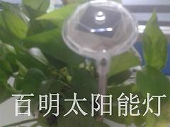 泉州太陽(yáng)能燈哪家好|福建質(zhì)量好的太陽(yáng)能草坪燈服務(wù)商