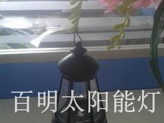 安徽太陽能草坪燈|大量供應(yīng)高品質(zhì)的太陽能燈