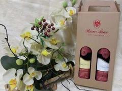 鼎楷貿易供應價格優惠的if怡芙果味飲料：進口飲料售賣