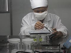 廣西口碑的植物提取物加工公司——實(shí)惠的固體飲料代加工