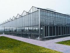 優質鋼結構廠房|鋼結構廠房造價