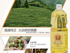 品牌tr野生山茶油加盟|南寧地區(qū)提供有品質(zhì)的山茶油招商加盟