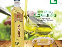 廣西桑葚紅酒——廣西哪里供應的桑葚酒價格實惠