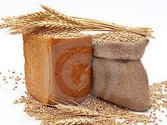 銷量好的玉米經(jīng)銷商：天意收購(gòu)供應(yīng)廠家