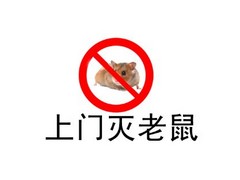 成都哪里可以找到口碑好的滅白蟻 宜賓滅白蟻公司