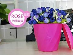 宿遷塑料花盆：福建地區(qū)優(yōu)質(zhì)的塑料PP環(huán)保花盆