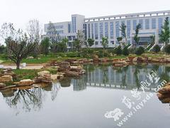精美的銅雕 山東精湛的銅雕供應