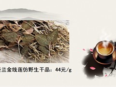 金線蓮電話 哪兒能買到熱銷金線蓮