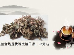 福州鐵皮石斛的功效：專業(yè)的金線蓮莆田提供