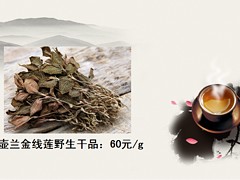 想買好的金線蓮就來利榮昌：金線蓮廠家