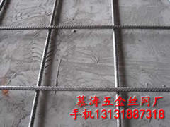 鍍鋅防護(hù)網(wǎng)供應(yīng)：衡水哪里有賣物超所值的防護(hù)網(wǎng)