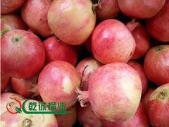 石榴樹苗|買軟籽石榴樹苗認(rèn)準(zhǔn)乾誠石榴