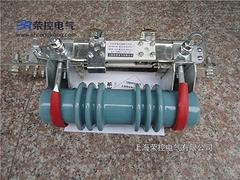 低價RN2-35/0.5A，耐用的高壓熔斷器溫州口碑好的公司供應