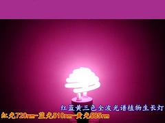 智能溫室造價是多少_哪里建設智能溫室