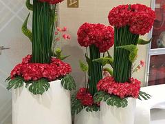 辦公室花卉租擺信息提供，蕭山辦公室花卉租擺