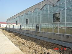 文絡型溫室大棚銷售，山東優質的文絡型溫室大棚