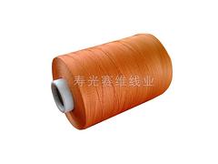 濰坊高品質(zhì)的高強(qiáng)滌綸線上哪買(mǎi)——萊蕪高強(qiáng)滌綸線