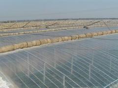 EVA日光膜批發 濰坊暢銷的EVA日光膜提供商
