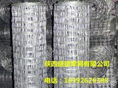 甘肅經(jīng)緯網(wǎng)——陜西價(jià)位合理的經(jīng)緯網(wǎng)哪里有賣