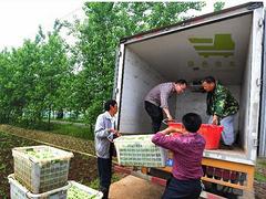 武漢合格的食堂配送公司，當(dāng)屬綠色快車|武漢原材料配送承包