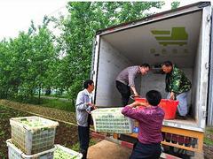 武漢學校食堂配送|湖北一級的糧油批發配送公司