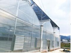 建溫室大棚，福建超有價(jià)值的福建溫室大棚