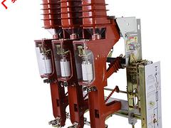 宇邦大賣真空負(fù)荷開關(guān)FZRN63-12D怎么樣 ，高壓電器開關(guān)FZRN63-12D