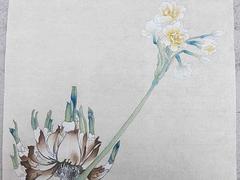 具有品牌的書法培訓(xùn)哪兒有：鼓樓成人書法培訓(xùn)機(jī)構(gòu)
