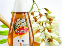 口碑好的冬蜜批發(fā)市場(chǎng)推薦：推薦蜂蜜