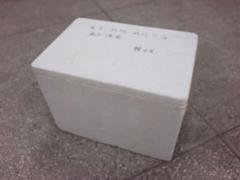 具有口碑的泡沫廠家推薦 翔安泡沫