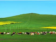 鄭州鄭州到內(nèi)蒙旅游口碑怎么樣，到內(nèi)蒙古旅游旅行社哪家好