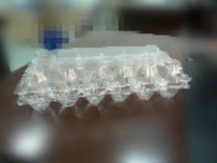 梅州塑料皮蛋盒包裝|廣東優質的塑料皮蛋盒包裝推薦