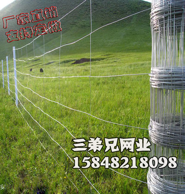 烏海沖孔板網|內蒙古三兄弟網業
