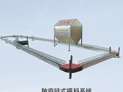 富華農(nóng)牧機(jī)械裝備供應(yīng)優(yōu)良的肉雞水線：養(yǎng)雞設(shè)備廠家